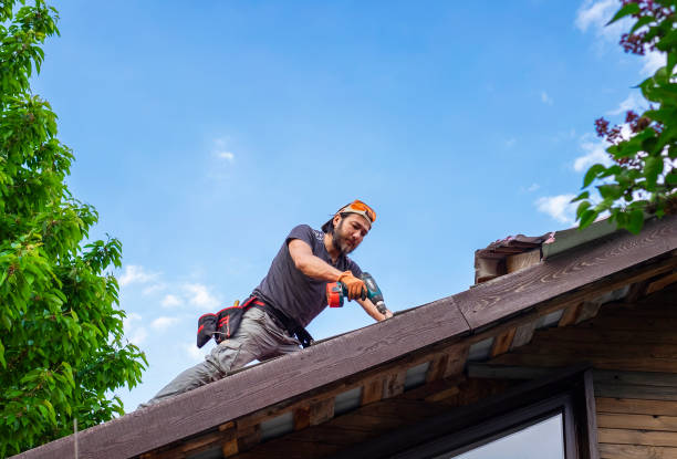 Best Roof Maintenance and Cleaning  in Avondale Estates, GA