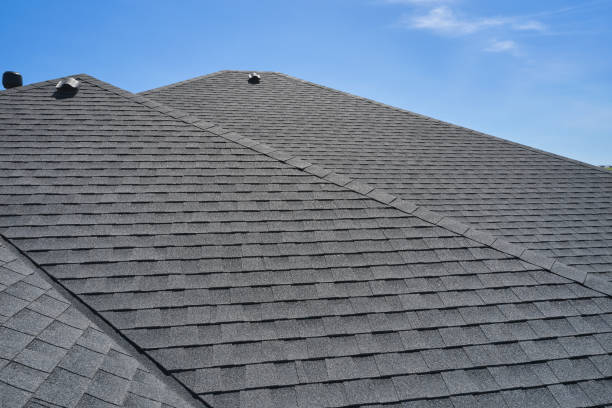 Best Roof Moss and Algae Removal  in Avondale Estates, GA